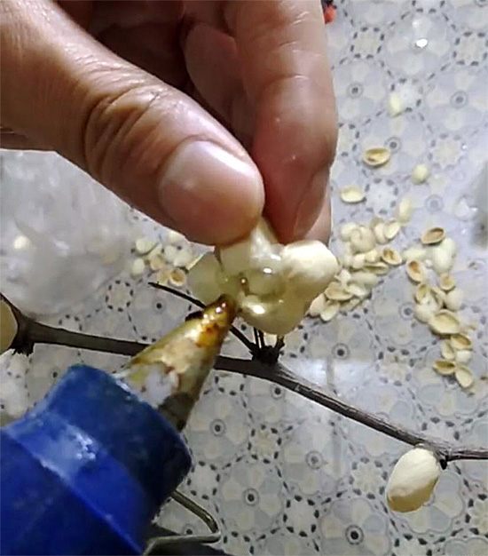 熱熔膠的粘性不能完全決定粘合效果